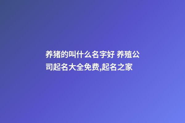养猪的叫什么名字好 养殖公司起名大全免费,起名之家-第1张-公司起名-玄机派